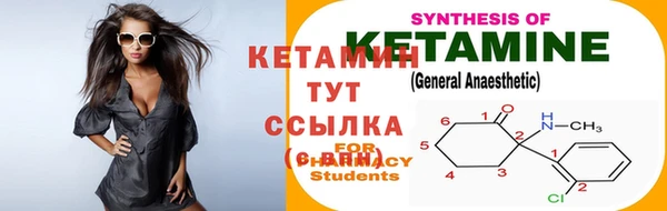 спиды Горняк