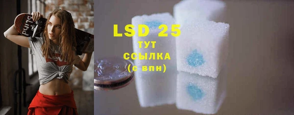 спиды Горняк