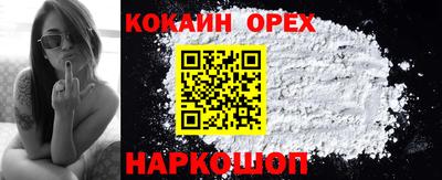 ALPHA PVP Гай