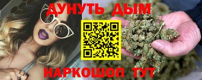 прущие крисы Гатчина