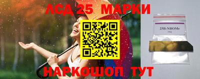 прущие крисы Гатчина