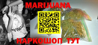 ALPHA PVP Гай