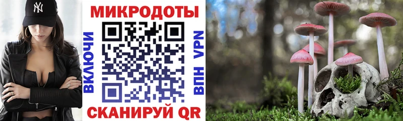 Псилоцибиновые грибы мицелий  Домодедово 